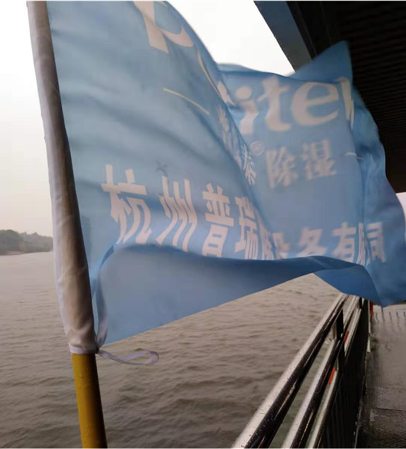 黄片免费视频软件泰 